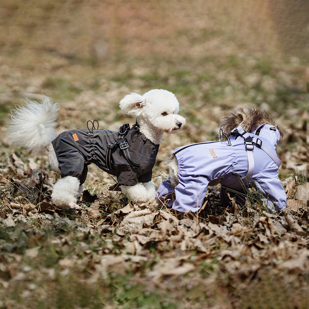 Personnalité de mode Chien Pet Un-pièce Raincoat
