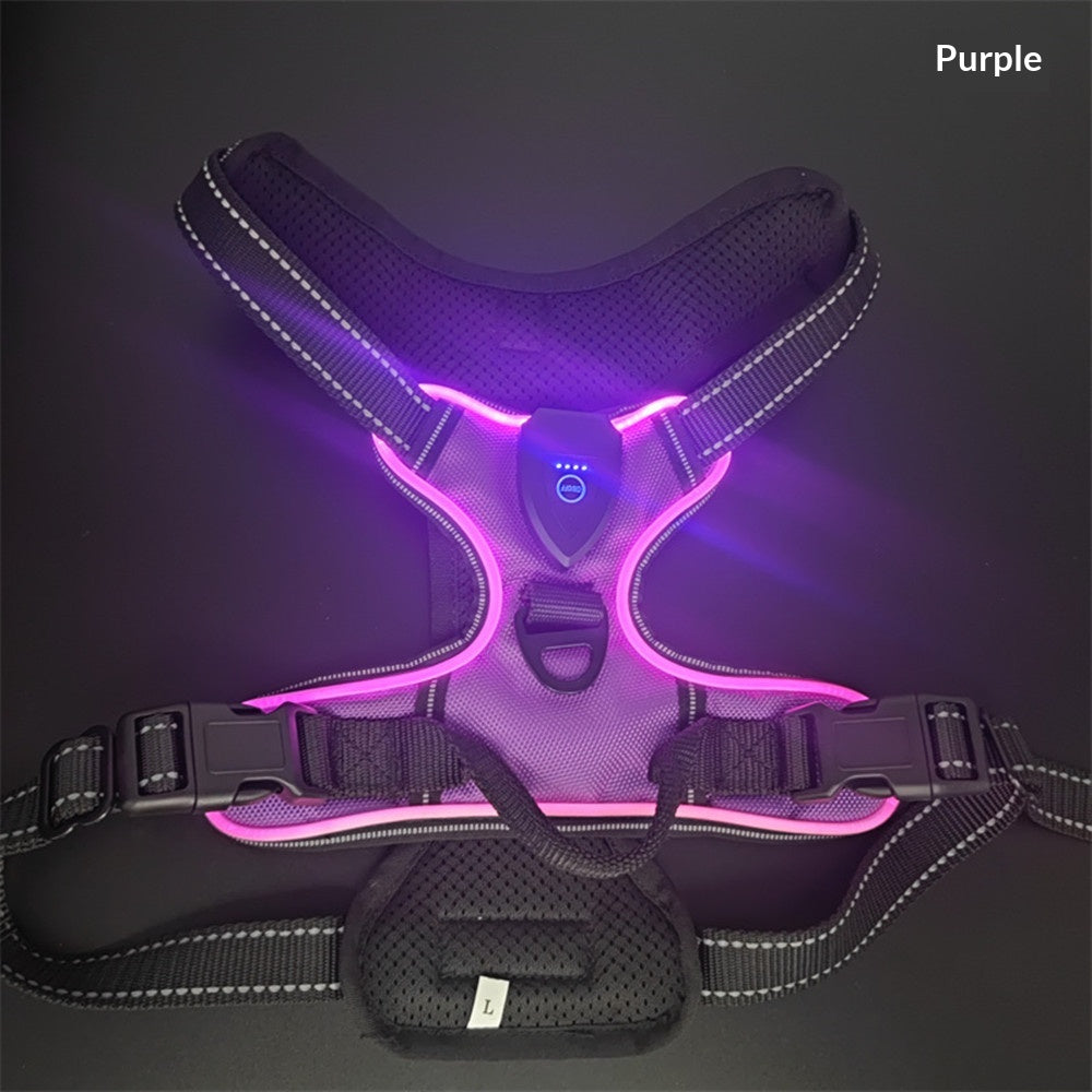 Led Pet Light-Up Harness Nighttime Dog Walking Anti-Collision Veste d'éclair réglable pour