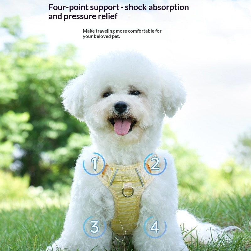Corde de maintien des mains de chien