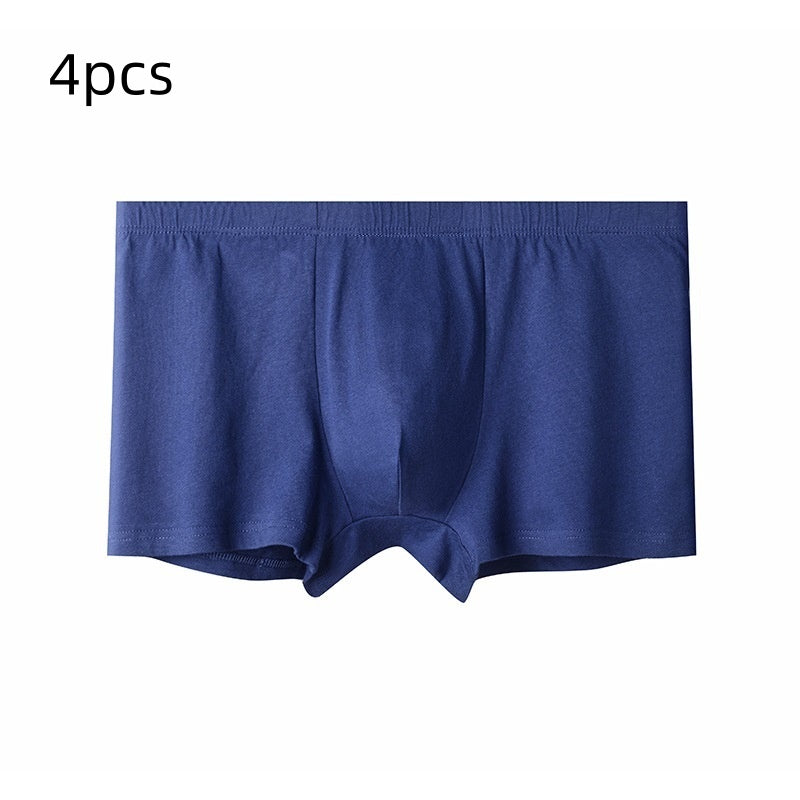 Briefs pour hommes pour hommes d'âge moyen et plus âgés
