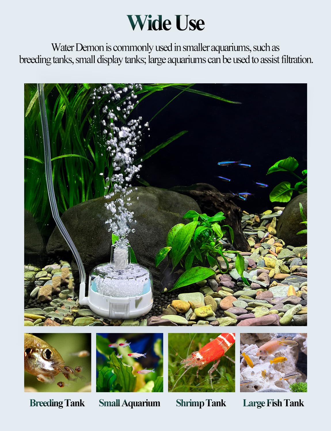 Mini filtre à éponge d'aquarium