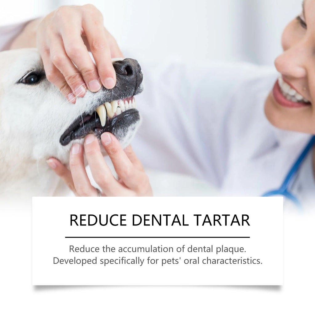 Poudre de nettoyage des dents des animaux de compagnie