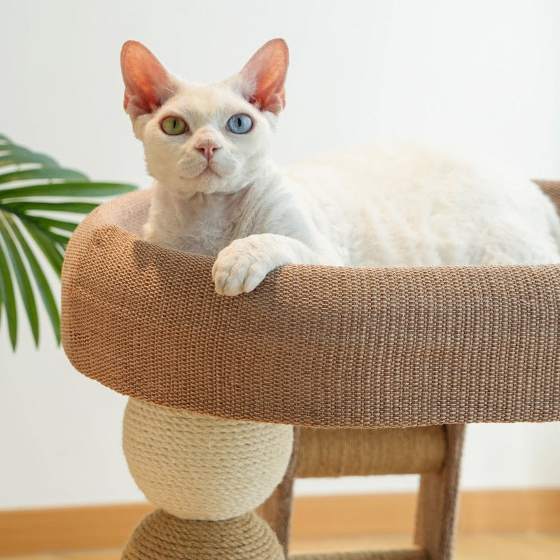 Arbre de chat pour les petits appartementsprendre beaucoup d'espace