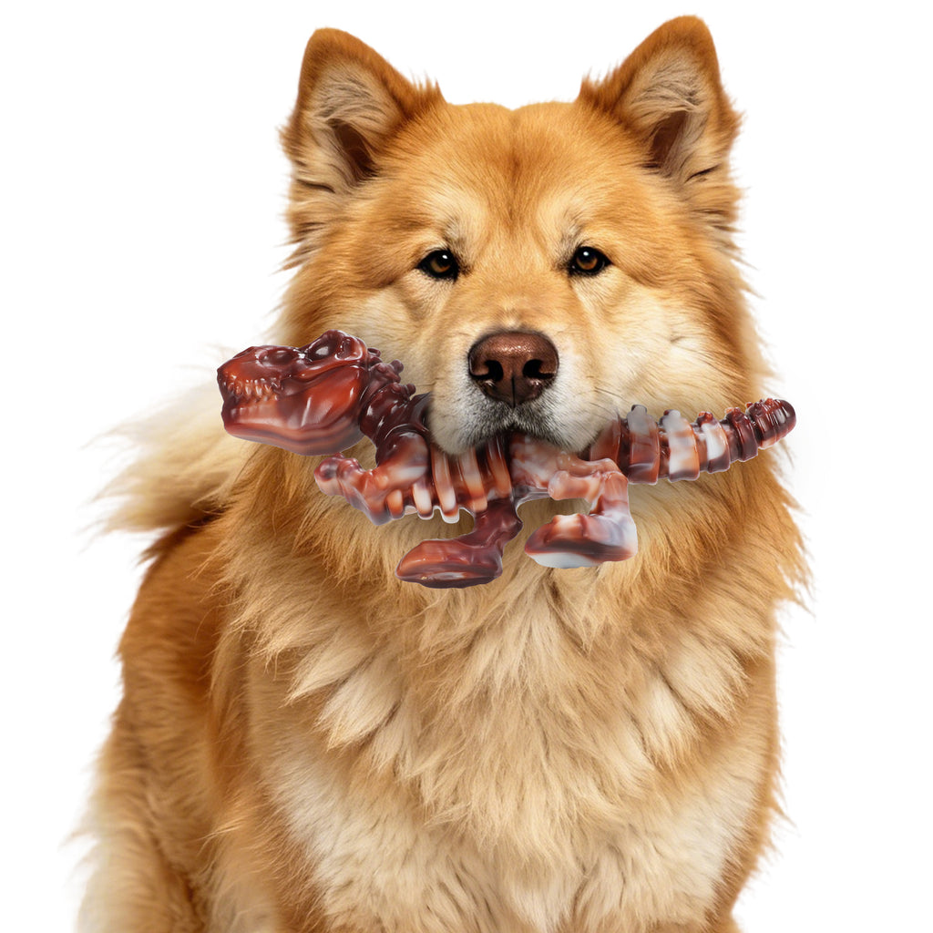 Jouets à croquer durables pour chiens de taille moyenne à grande