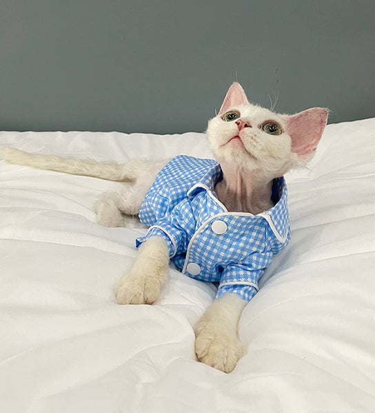 Pyjama pour Sphynx et Devon Rex Cats.