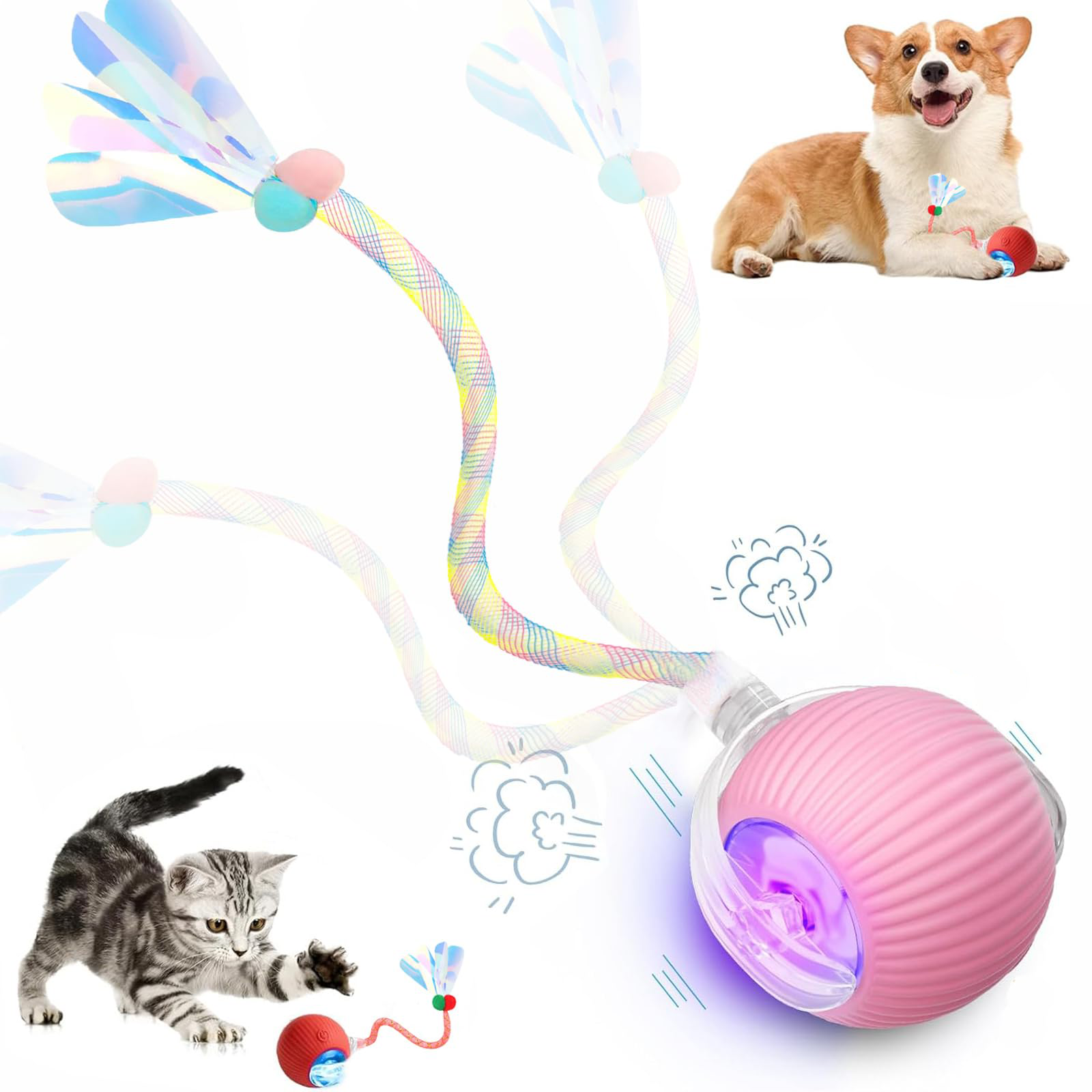 Jouets interactifs pour chats de queue pour chats d'intérieur