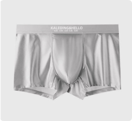 Satin Ice Silk Hommes Sous-vêtements