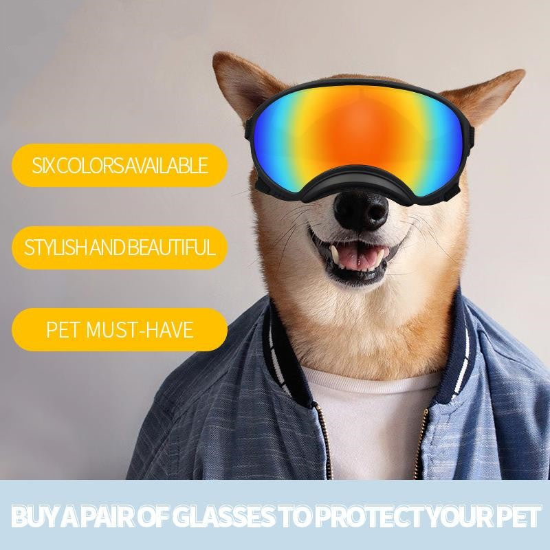 Lunettes de soleil de ski à la mode pour chiens de taille grande et moyenne