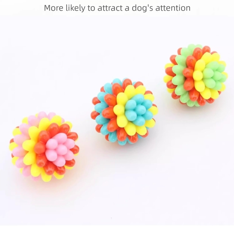 Balles de jouets de dents colorées pour animaux de compagnie