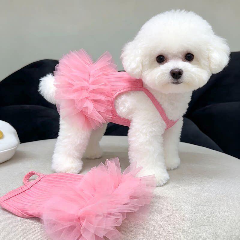 Robe respirante pour animaux de compagnie neufs