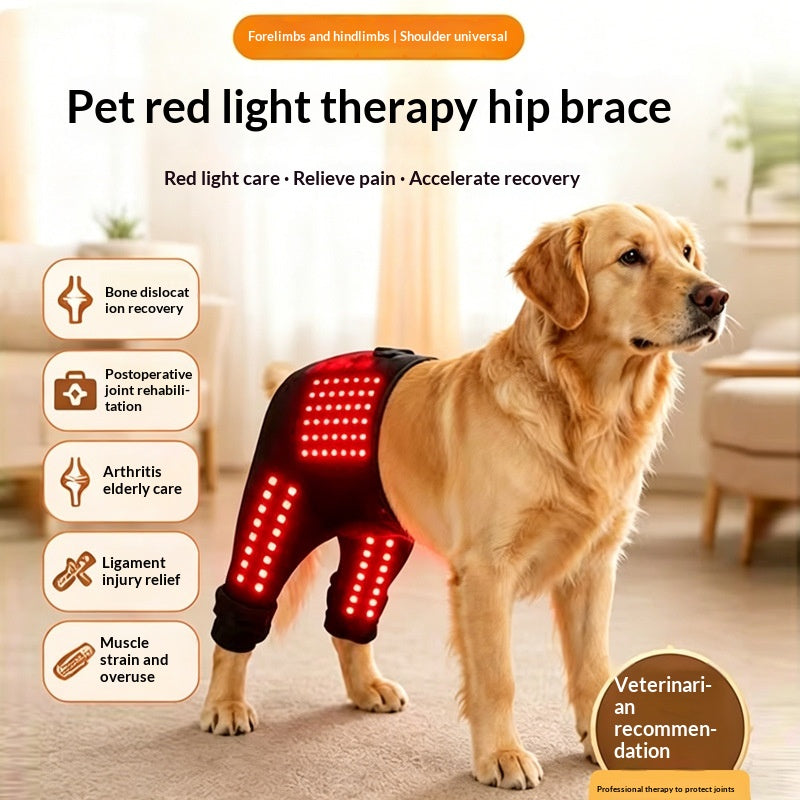 Dual-use Care Band For Pets Front And Rear Limbs And Hips
