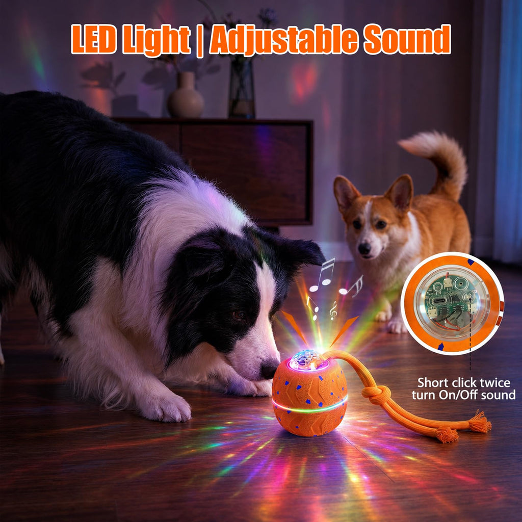 Balle de jouet pour chien interactif intelligent