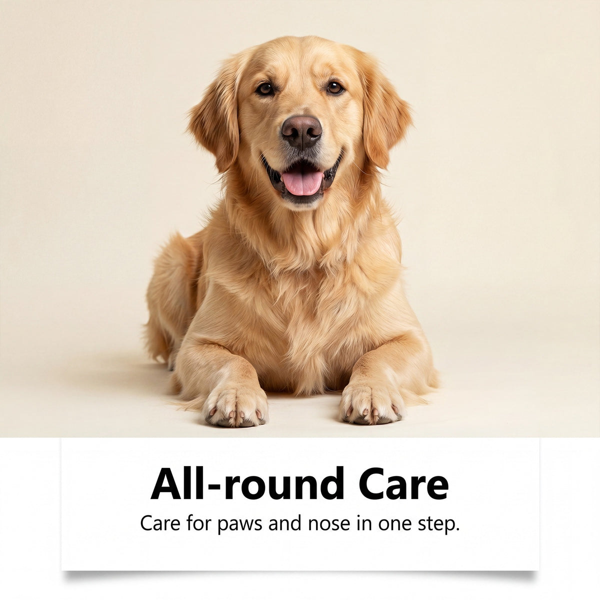 Eeljoy Pet Paw et soin du nez Roll-on liquide hydratant et soin rafraîchissant pour les chiens et