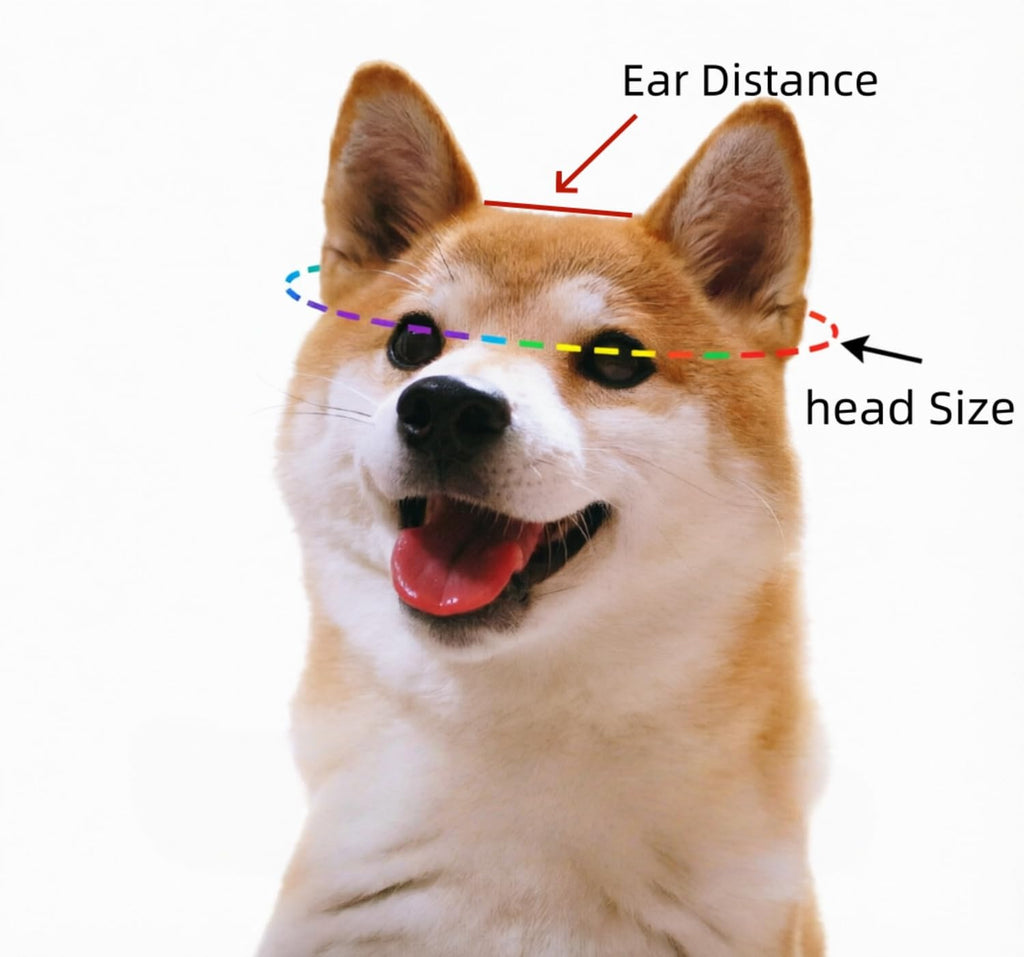 Chapeau de seau de chien avec trous d'oreille Ajustement Été Plage Visière Cap à écran solaire adapté pour le chien