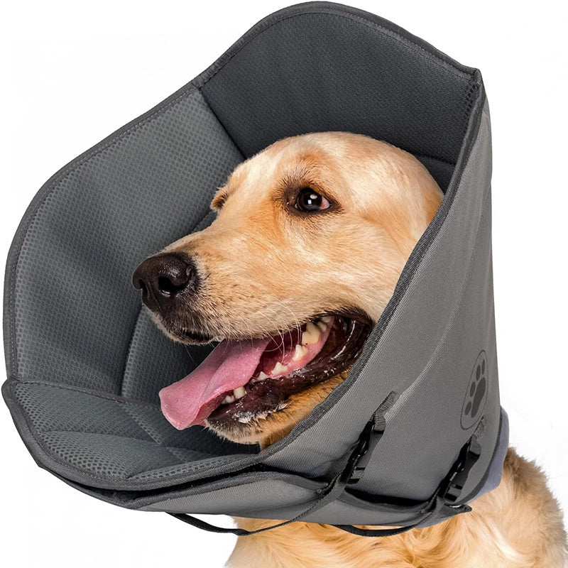 Anneau réglable du collier de stérilisation pour animaux de compagnie