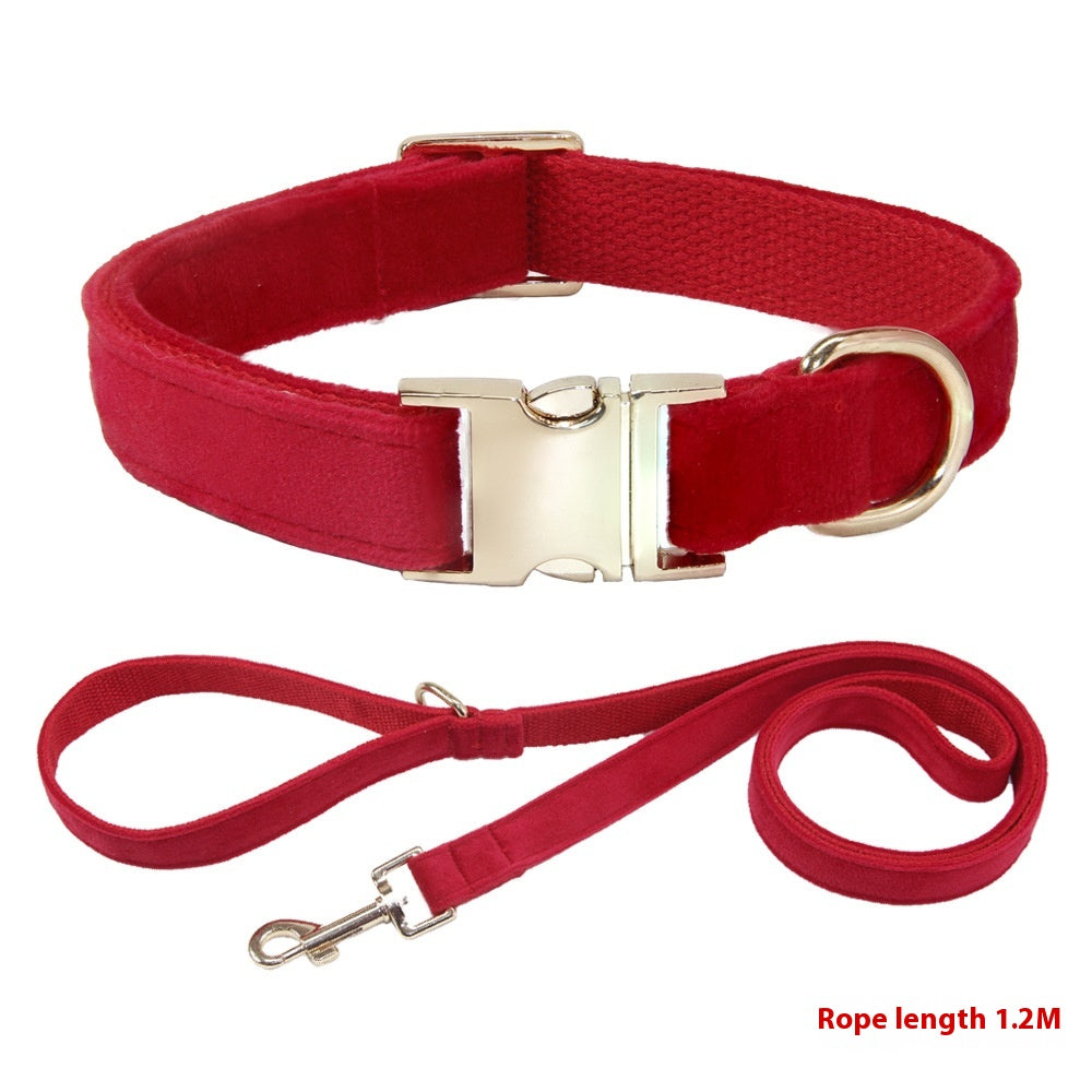 Collier de chien avec des lettres gravées