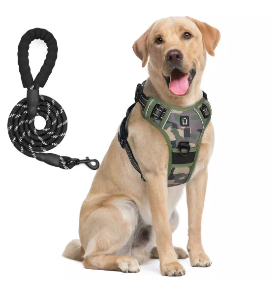 Harnais de chien et combo de laisse avec conception de preuve d'évasion