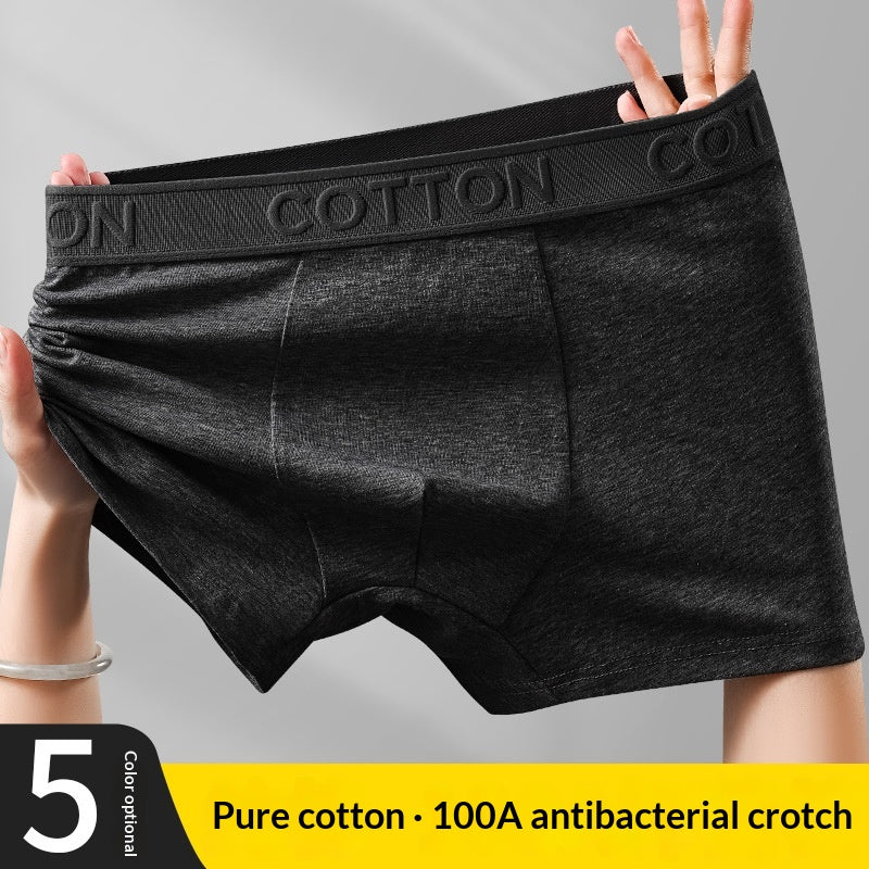 Boxer en coton antibactérien haut de gamme pour hommes