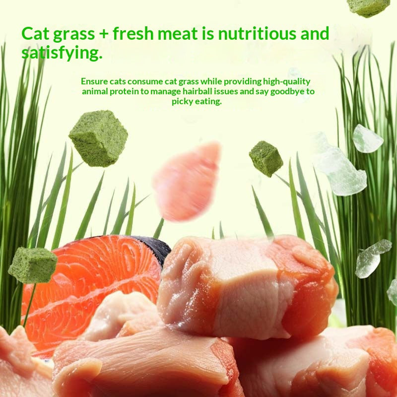 Cat Food Snacks Daily Freeze-Dry Hairball Remède