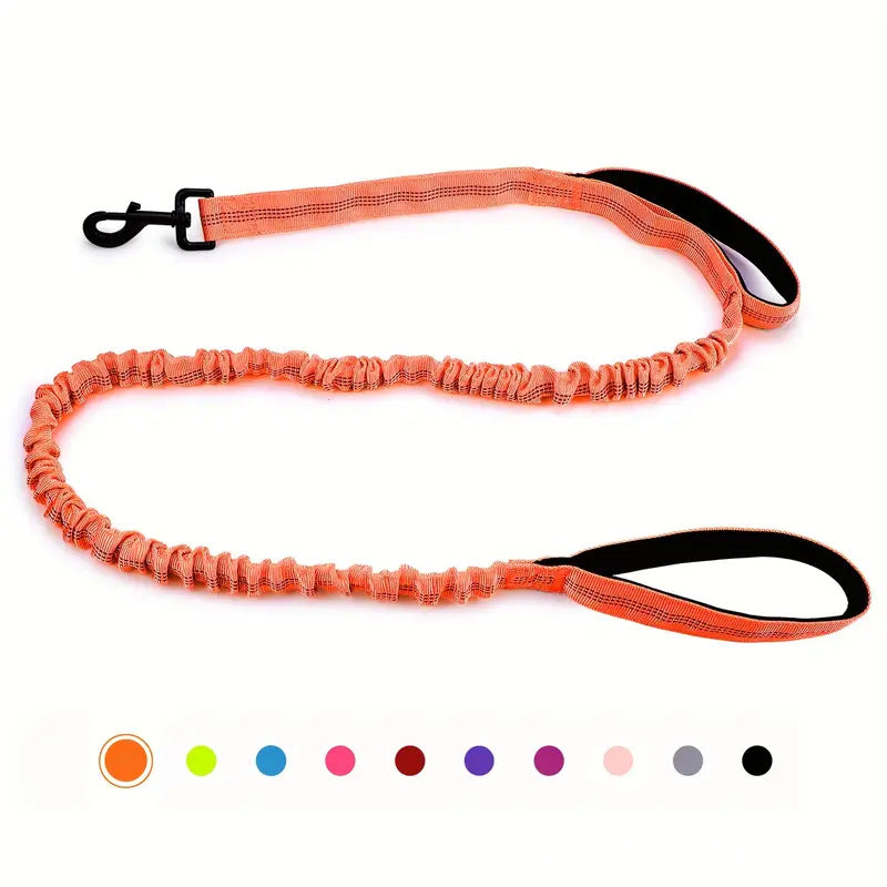 Feuille de chien multifonctionnelle pour les grandes races Anti-pull