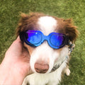 Animaux de compagnie fournitures colorés lunettes de chien lunettes Amazon