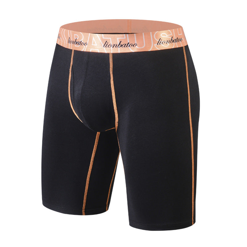 Sous-vêtements pour jambes longues pour hommes Coton Boxers pour jambes anti-friction