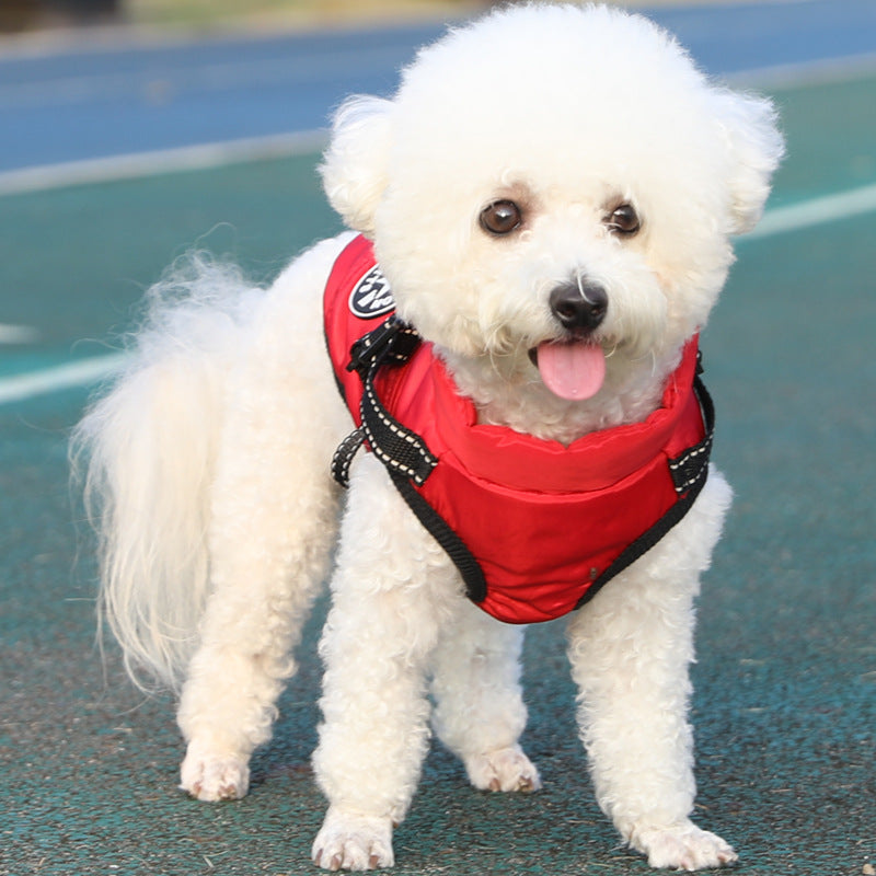 Chien chaud d'animal Enduit de coton avec laine épaisse