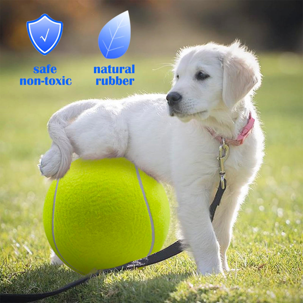 Balle de tennis pour chiens