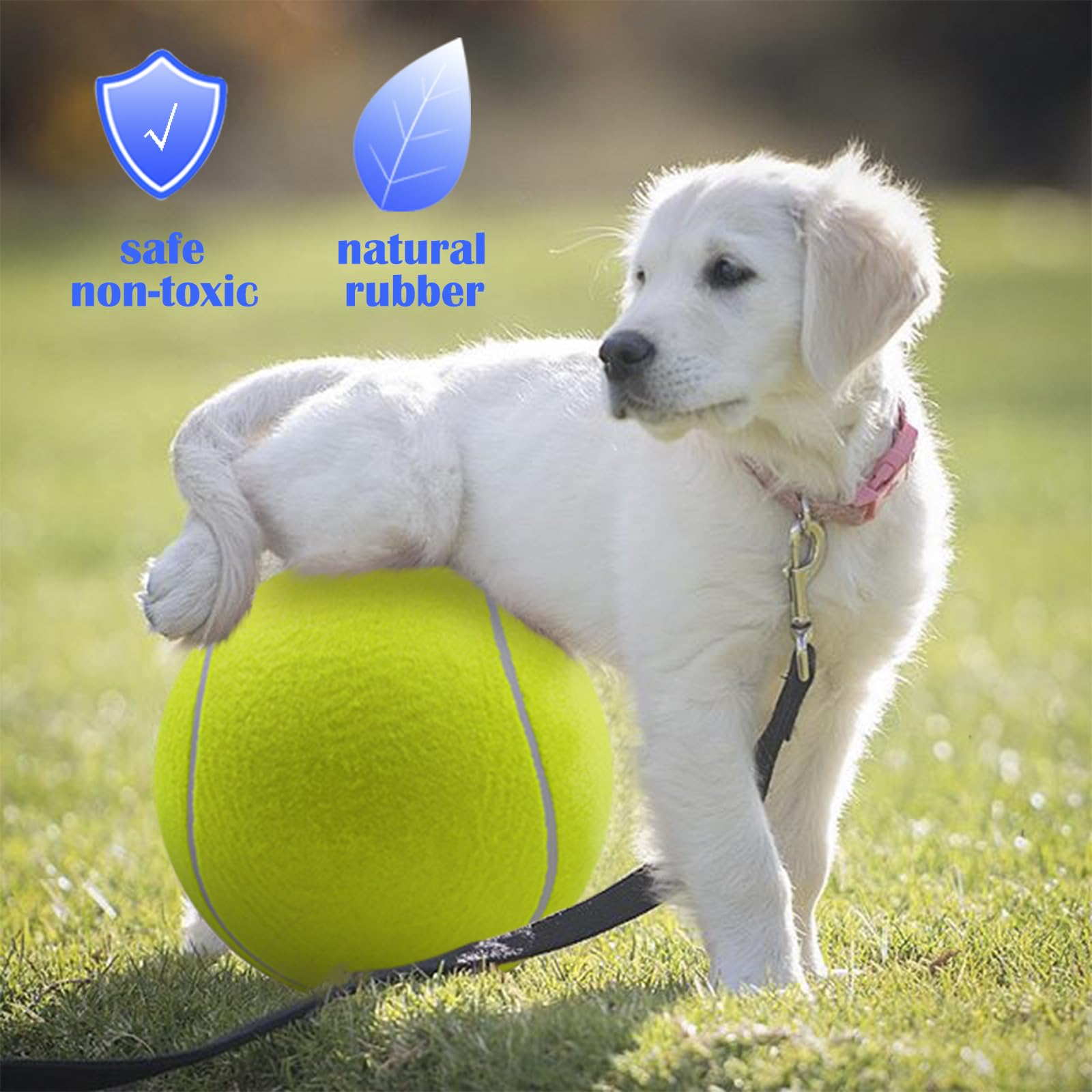 Balle de tennis pour chiens