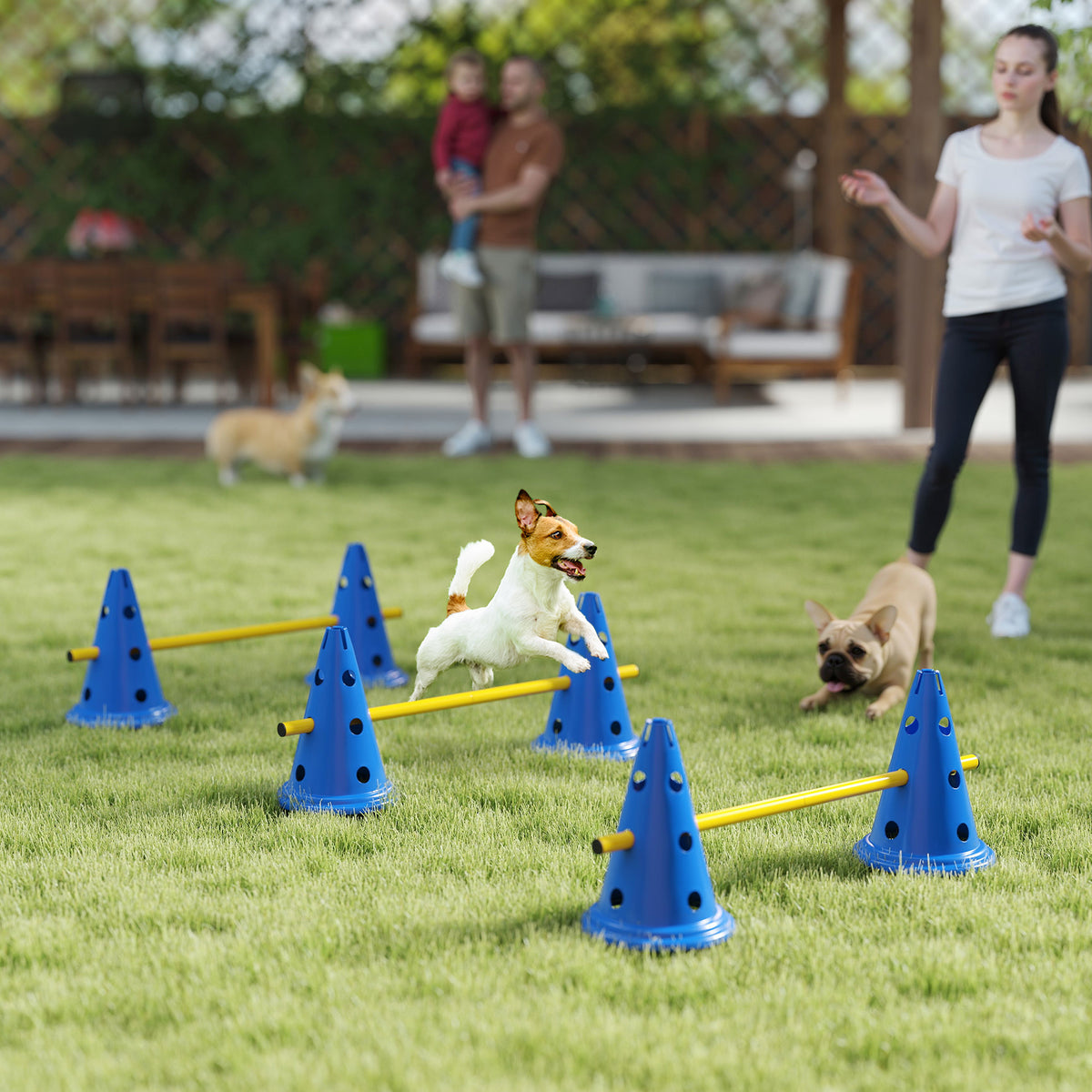 Ensemble d'équipement d'agilité de chien de six cônes