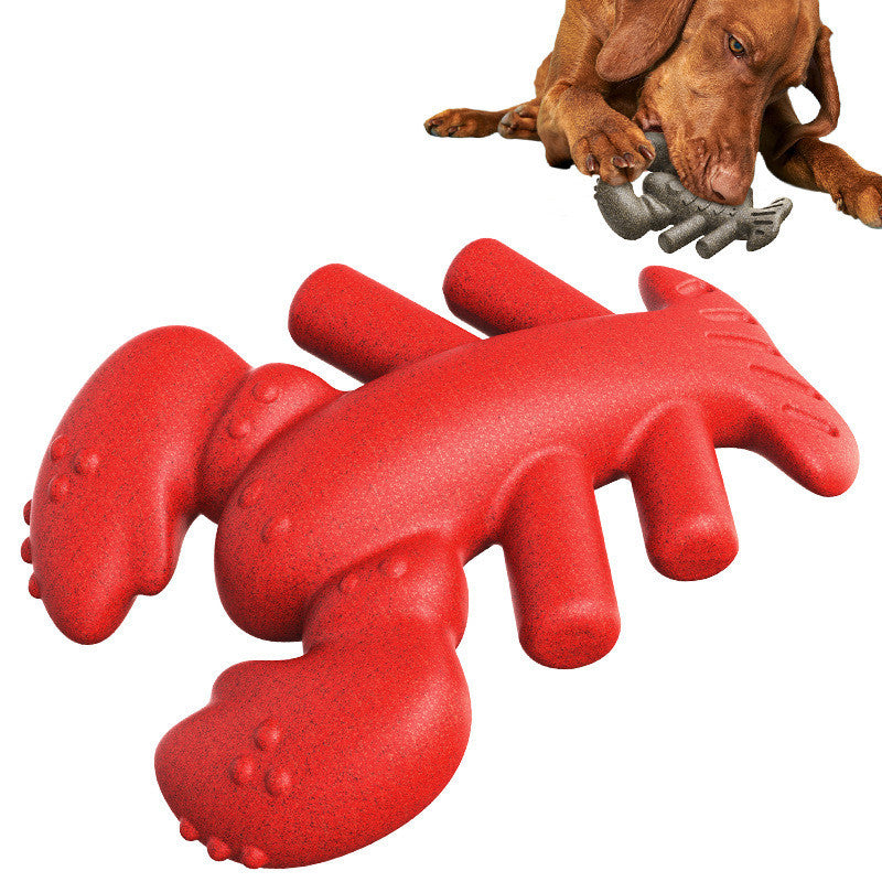 Jouet de lobster molaire pour chien à boules