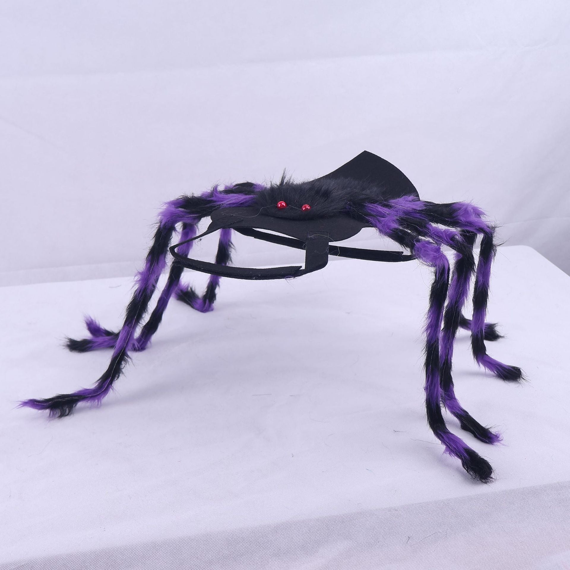 Déguisement Halloween Pet Spider Style américain