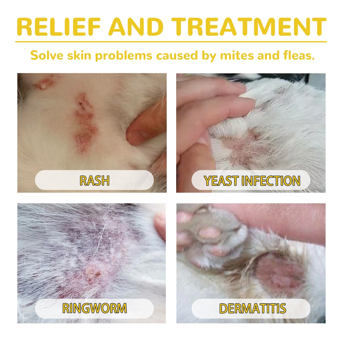 Yegbong Pet soin de la peau gouttes doux agent nettoyant pour les chats et les chiens