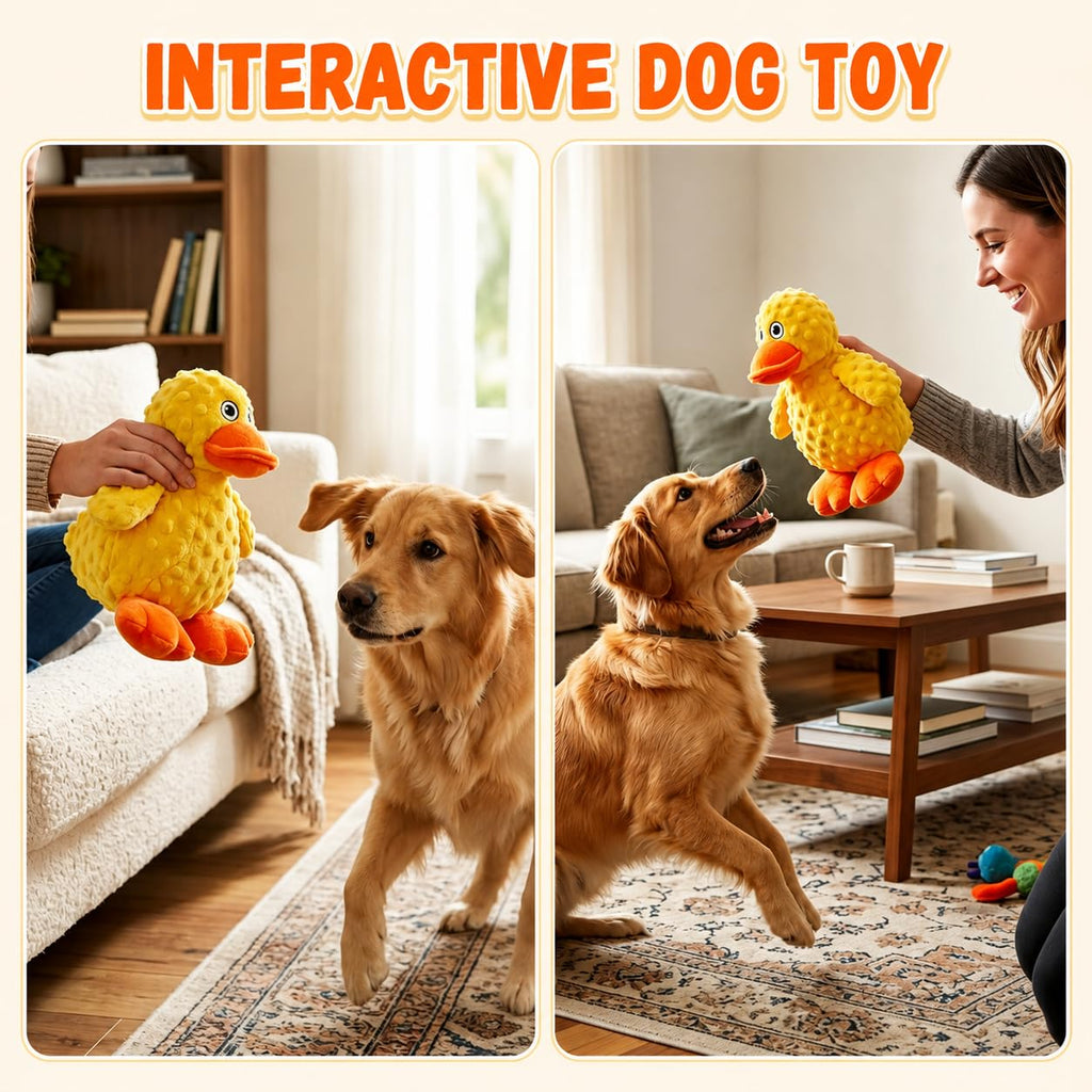 Jouet de chien en peluche durable