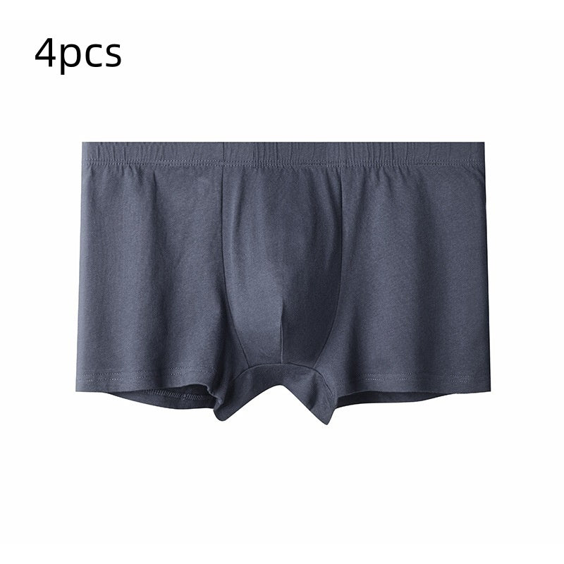 Briefs pour hommes pour hommes d'âge moyen et plus âgés