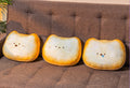 Pillow-Toast Pattern-Polyester Fiber-1 Piece