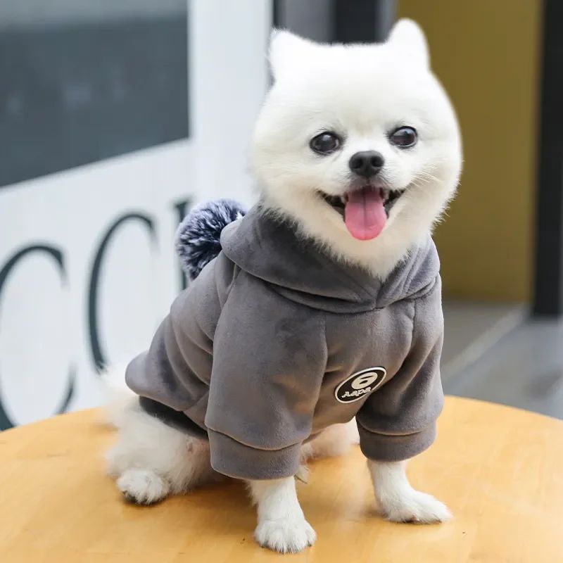Animaux de compagnie Cat Vêtements Fleece Hairball à capuche Veste Hiver Kitty Petits chiens moyens Chats