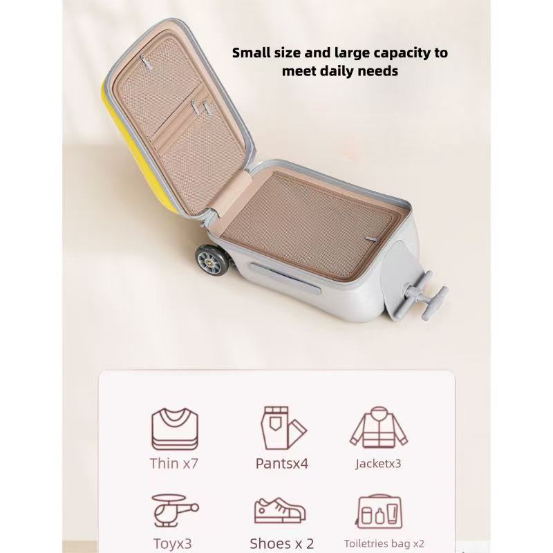 Valise amovible de 20 pouces