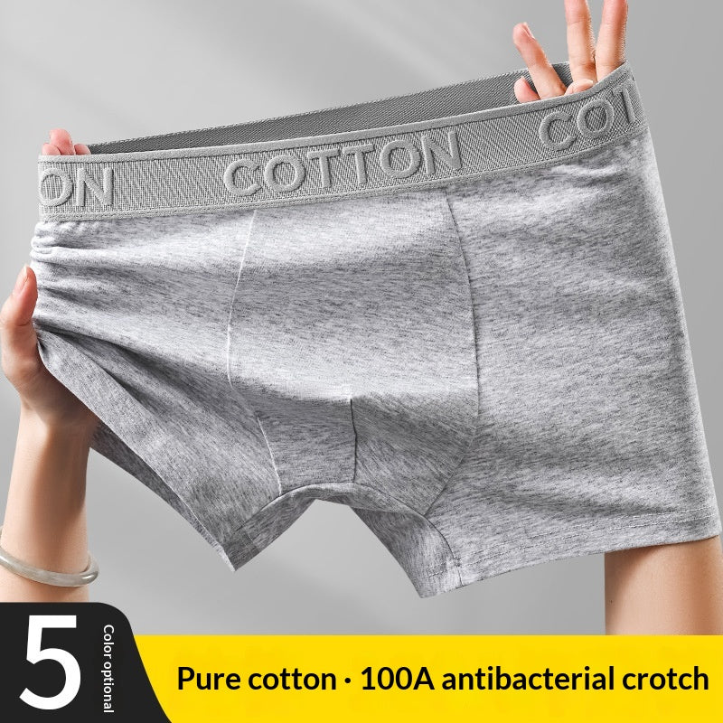 Boxer en coton antibactérien haut de gamme pour hommes