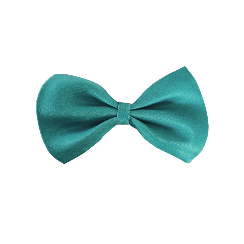 Collier pour animal de compagnie en couleur solide simple