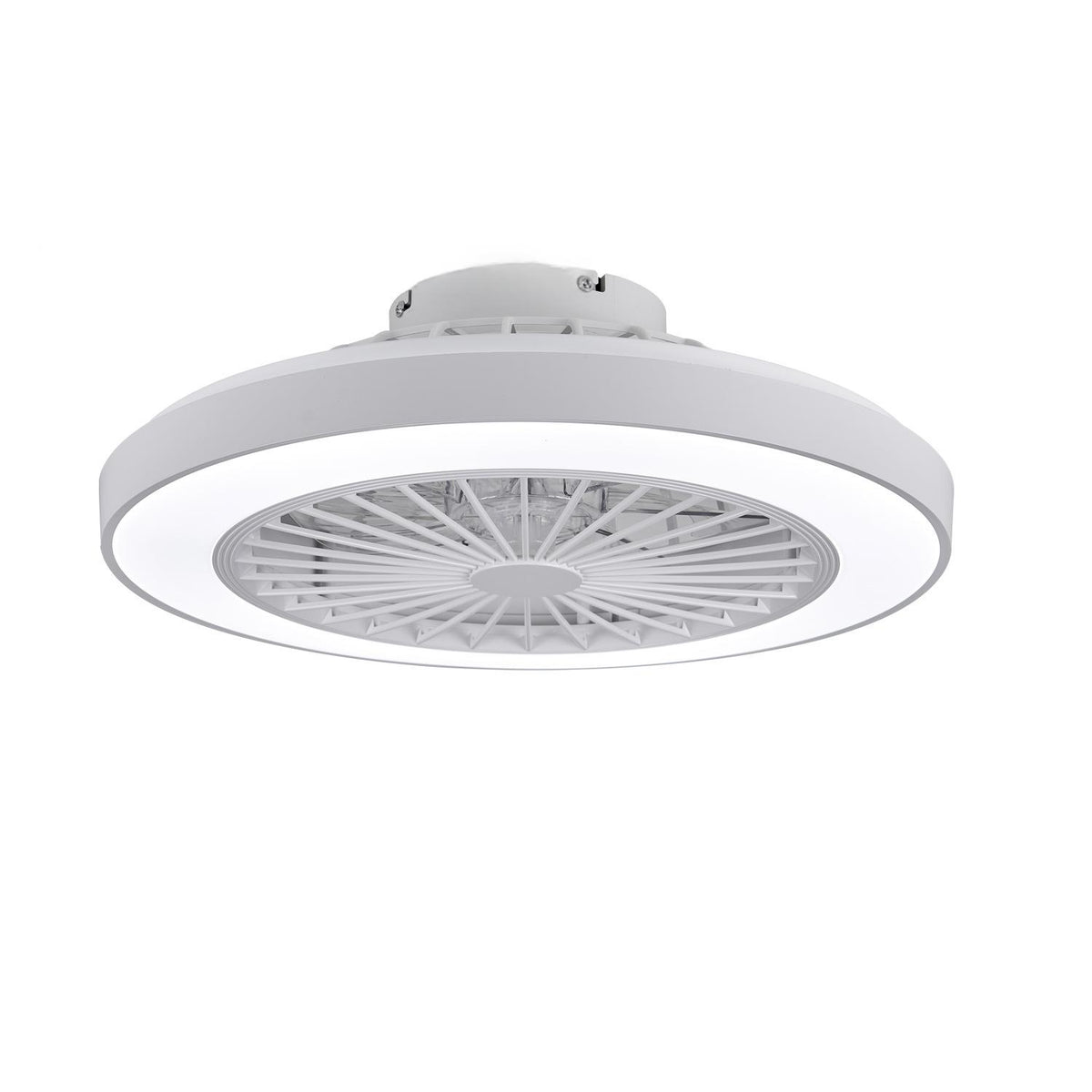 Ventilateur de plafond Salon Restaurant
