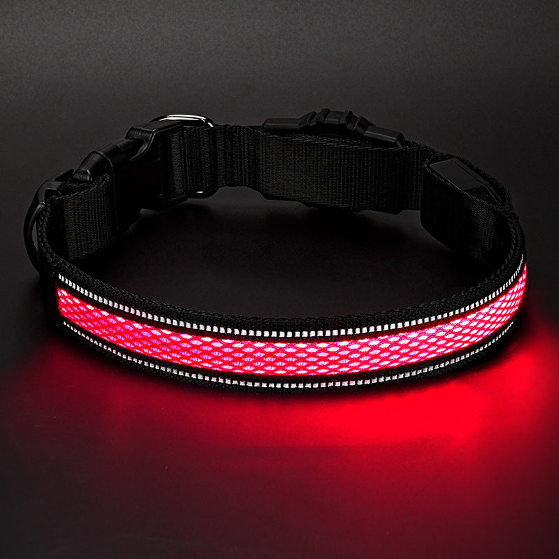 Collier de chien de Glowing imperméable rechargeable