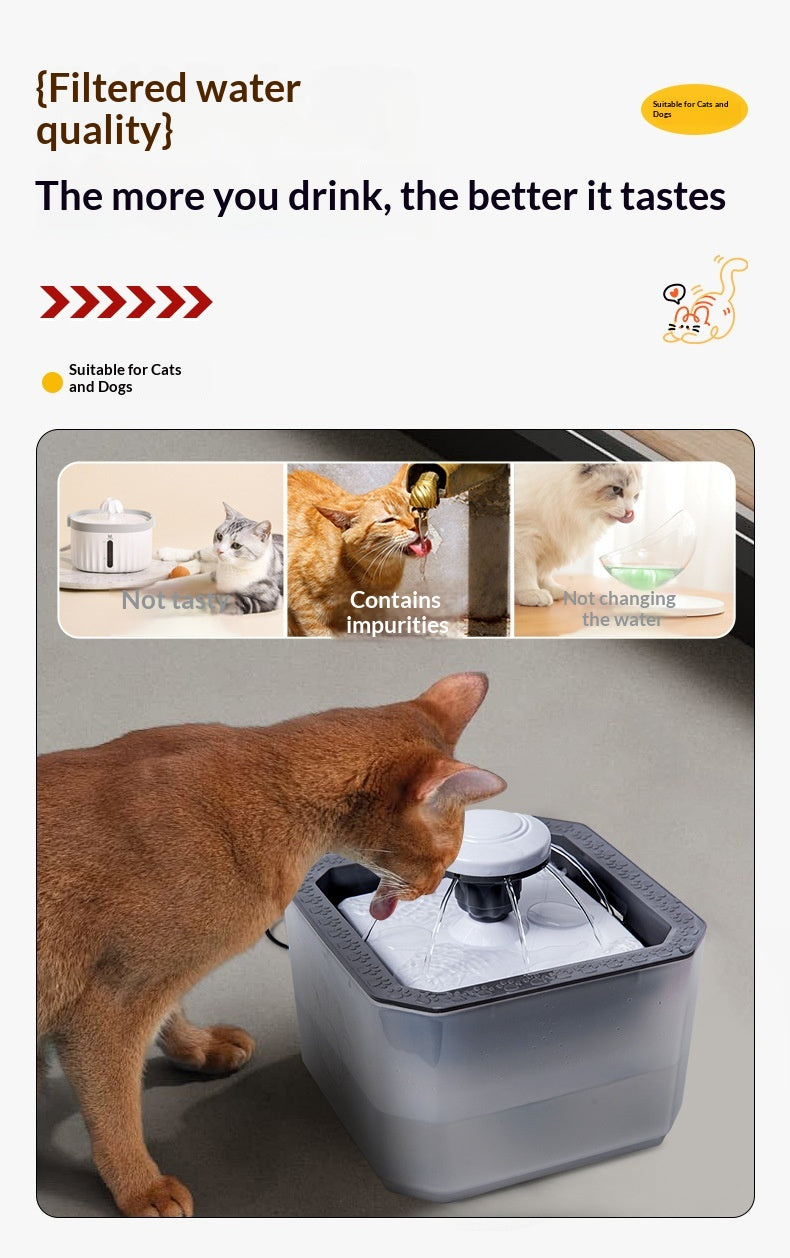 Fontaine d'eau détachable et lavable pour animaux de compagnie