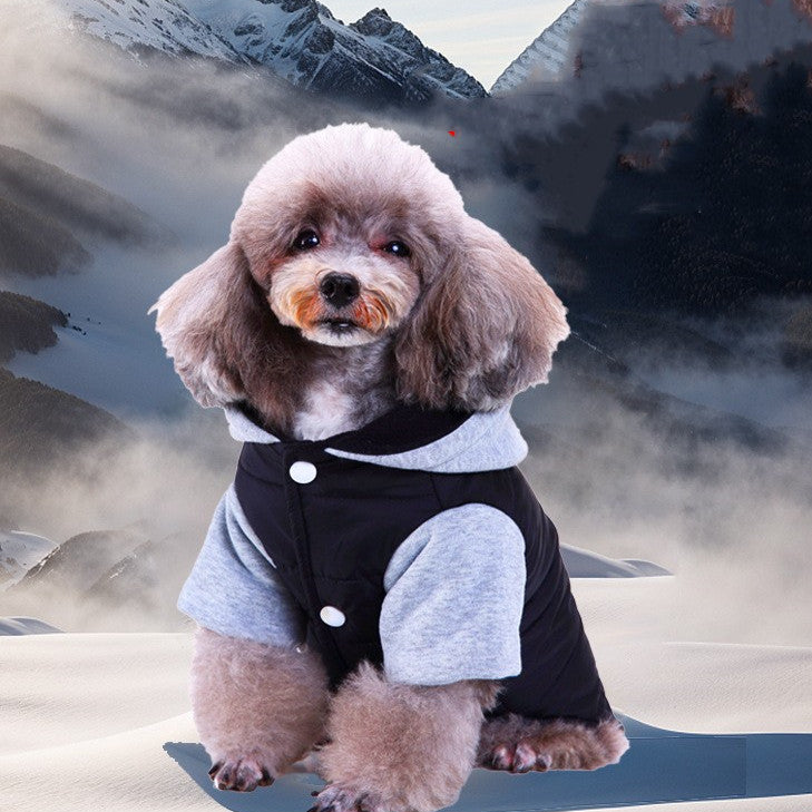 Vêtements d'hiver populaires pour animaux de compagnie