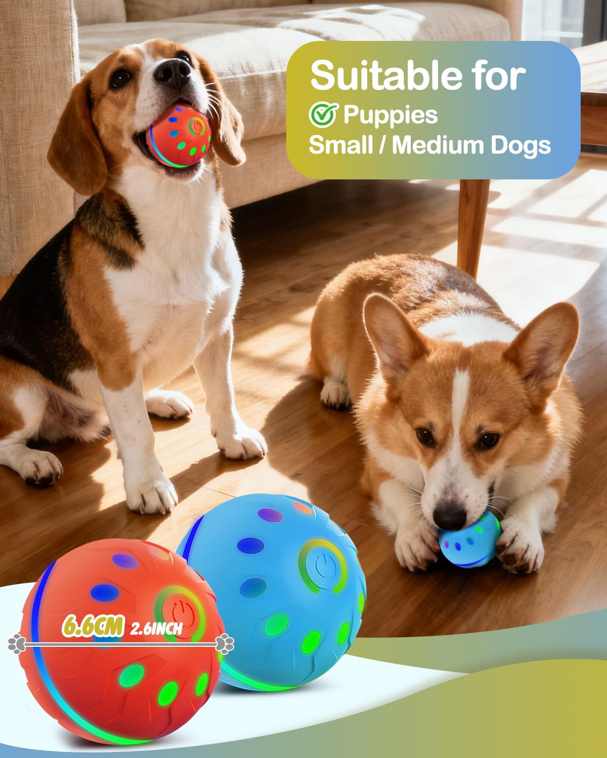 2 Pack Jouets interactifs pour chiens avec lumières