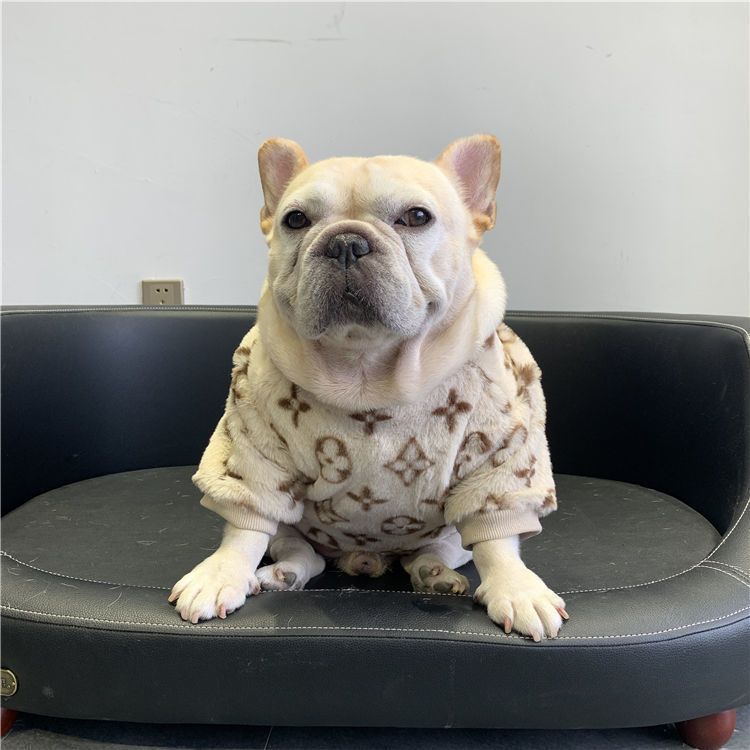 Vêtements de chien polaire doublé chaud rembourré garder Corgi et Shiba Inu Jarre Aero Bull