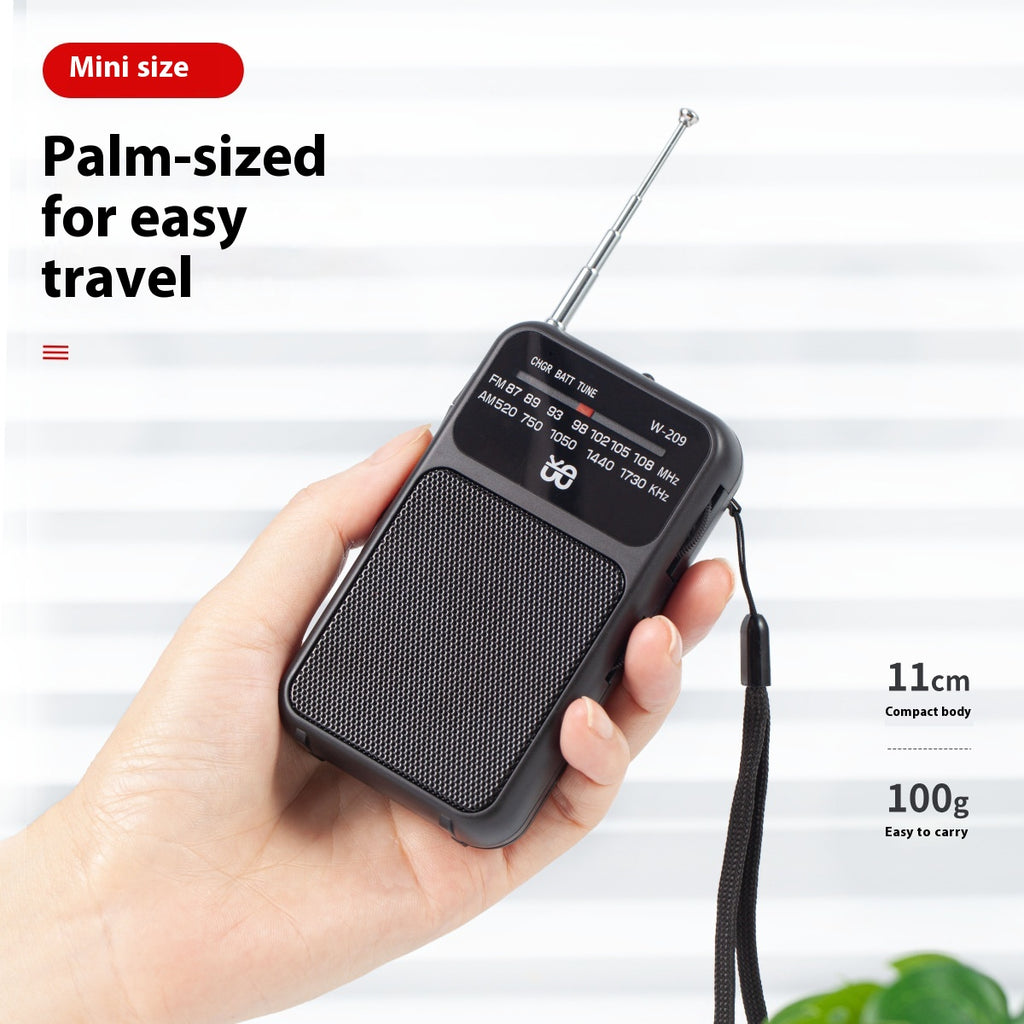 Radio Alimentation double avec lampe de poche FMAM Pointer Pocket Portable