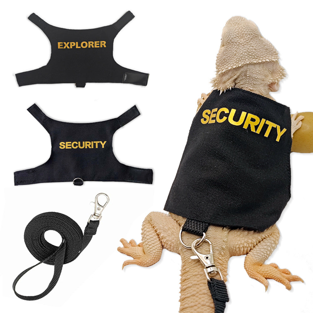 Lézard Leash Reptile Extérieur Poitrine et Harnais de dos