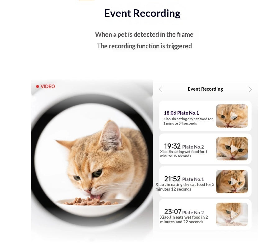 Smart Cat Feeder AI reconnaissance faciale Multi Cats Caméra vidéo Gen fonctionne pour l'UE