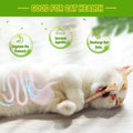 Silvervine Sticks Cat Chew Jouets pour les chats intérieurs soins dentaires nettoyage des dents